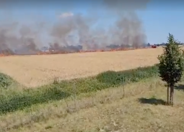 Pożar pola niedaleko Poznania
