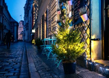 Kilkaset choinek zdobi Poznań w ramach miejskiej akcji. Drzewka trafiły też do przedsiębiorców, stowarzyszeń i NGO