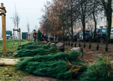 Sadzenie drzew w nowym parku na Naramowicach: osłonią mieszkańców od spalin i hałasu